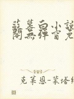 苏慕白小说笔趣阁无弹窗免费阅读