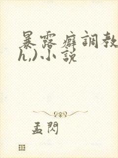 暴露癖调教(高h,)小说封面