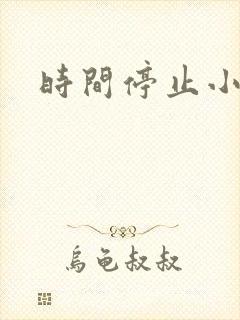 时间停止小说