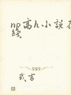 np高h小说在线封面
