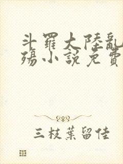 斗罗大陆乱世浮殇小说免费阅读