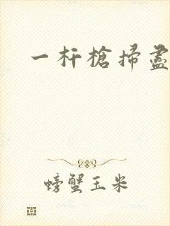 一杆枪扫尽全家封面