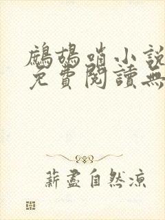 鹧鸪哨小说网站免费阅读无弹窗封面