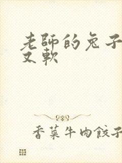 老师的兔子又大又软