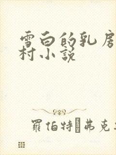 雪白的乳房强乡村小说封面