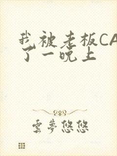 我被老板CAO了一晚上