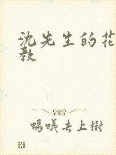 沈先生的花式管教封面