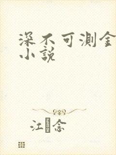 深不可测金银花小说封面