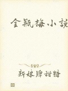 金瓶梅小说下载