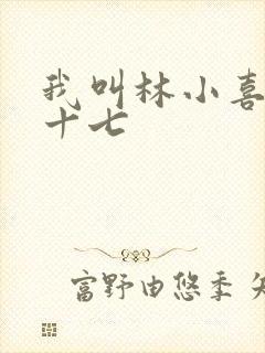 我叫林小喜今年十七