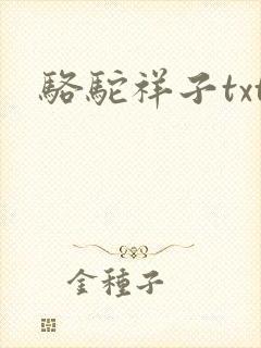 骆驼祥子txt封面