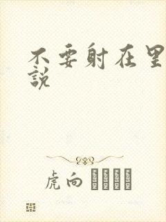 不要射在里面小说封面