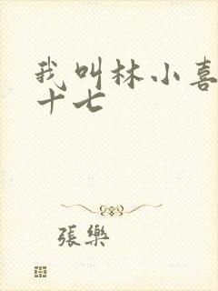 我叫林小喜今年十七
