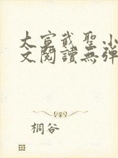 大宣武圣小说全文阅读无弹窗