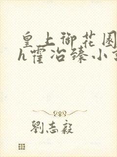 皇上御花园hlh霍冶臻小说封面