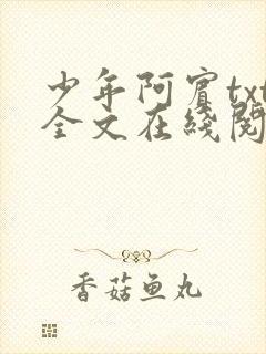 少年阿宾txt全文在线阅读