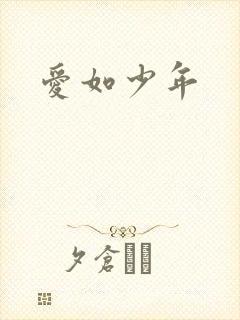 爱如少年