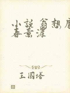 小说 翁想房中春意浓封面