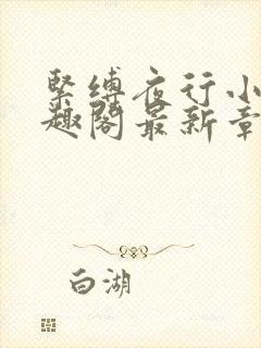 紧缚夜行小说笔趣阁最新章节更新时封面