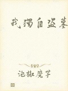 我独自盗墓封面