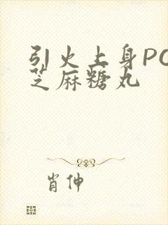 引火上身POP芝麻糖丸