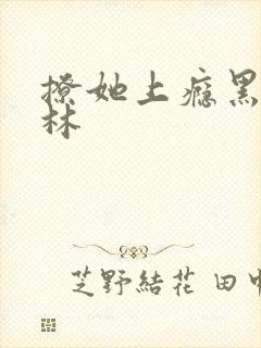 撩她上瘾黑暗森林封面