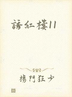 诱红楼11封面