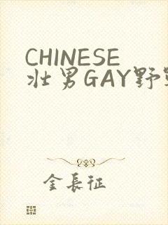 CHINESE壮男GAY野战强迫TUBE