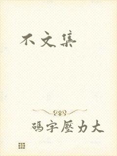 不文集封面