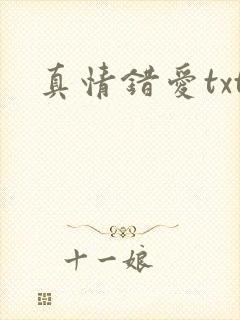 真情错爱txt封面
