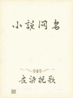 小说网名