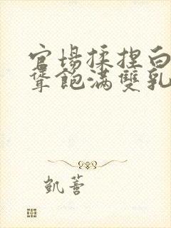 官场揉捏白嫩高耸饱满双乳小说