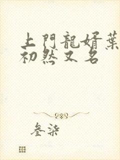 上门龙婿叶辰萧初然又名