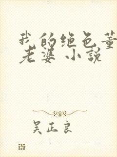 我的绝色董事长老婆 小说