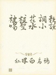 被校花调教做奴喝圣水小说封面