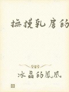 抚摸乳房的小说