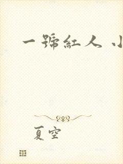 一号红人 小说封面