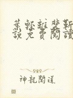 叶轻离裴靳墨小说免费阅读无弹窗