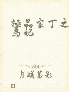 极品家丁之册母为妃