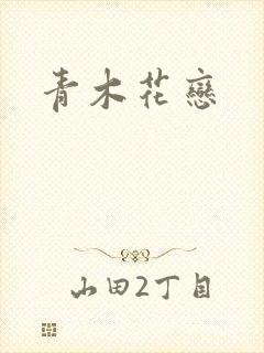 青木花恋封面