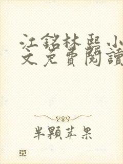 江铭林熙小说全文免费阅读封面