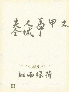 夫人马甲又轰动全城了封面