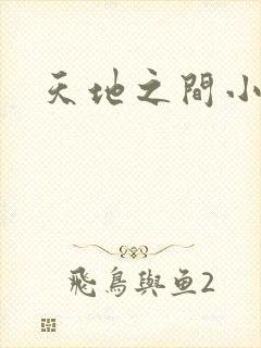天地之间小说