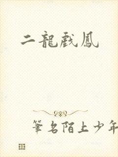 二龙戏凤
