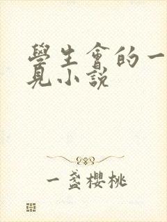 学生会的一己之见小说封面