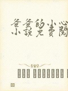 爸爸的小心肝儿小说免费阅读