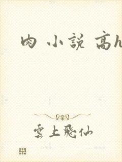 肉 小说 高h