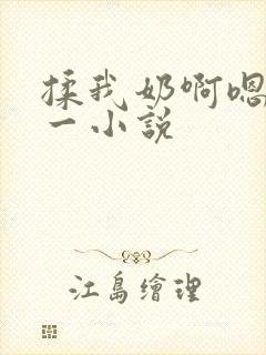 揉我奶啊嗯再骚一小说封面