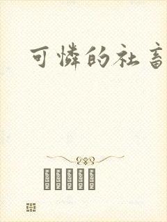 可怜的社畜小说