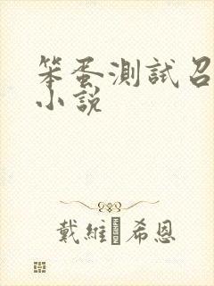 笨蛋测试召唤兽小说